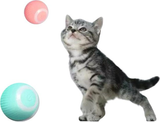 Balle de jeu auto-roulante pour chat ou chien - Interactif - USB - Bleu