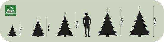 Triumph Tree Artificial Christmas Tree Tuscan - H185 x Ø109 cm - Vert