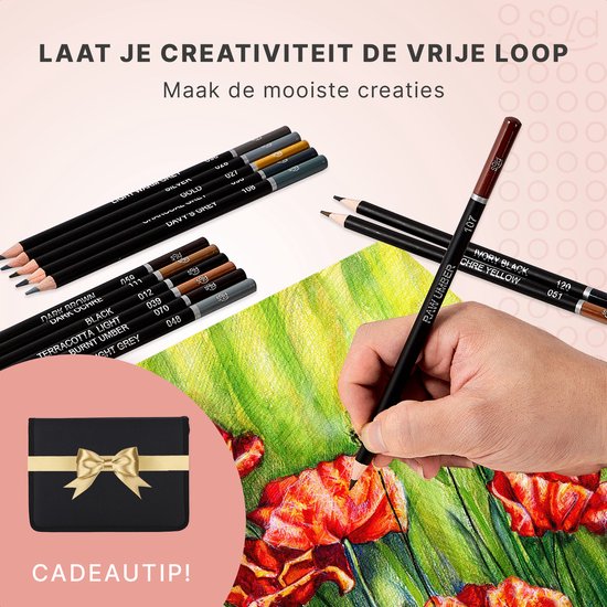 S.old Crayons de couleur - Set de crayons - Crayons de croquis - Set de dessin 97 pièces - Dessin au fusain - Gomme, taille-crayon et étui inclus