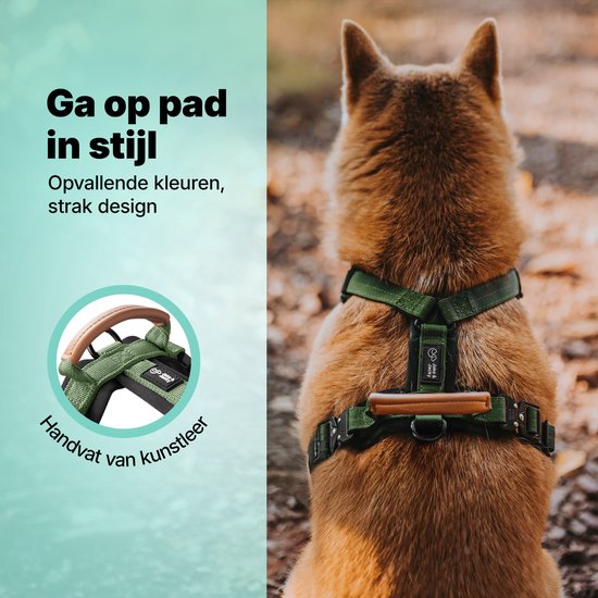 Harnais Jake et Jacky pour petit chien - Harnais anti-traction - Harnais pour chat - Harnais Y pour chien - Harnais pour petit chien - Harnais pour chat - Vert - Taille XS