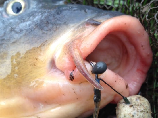 PB Products - Downforce Tungsten - Perles Shot On The Hook - 0.4g