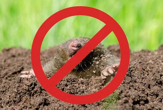 Hortensus - Répulsif solaire contre les taupes - 800 m² - 4 pièces