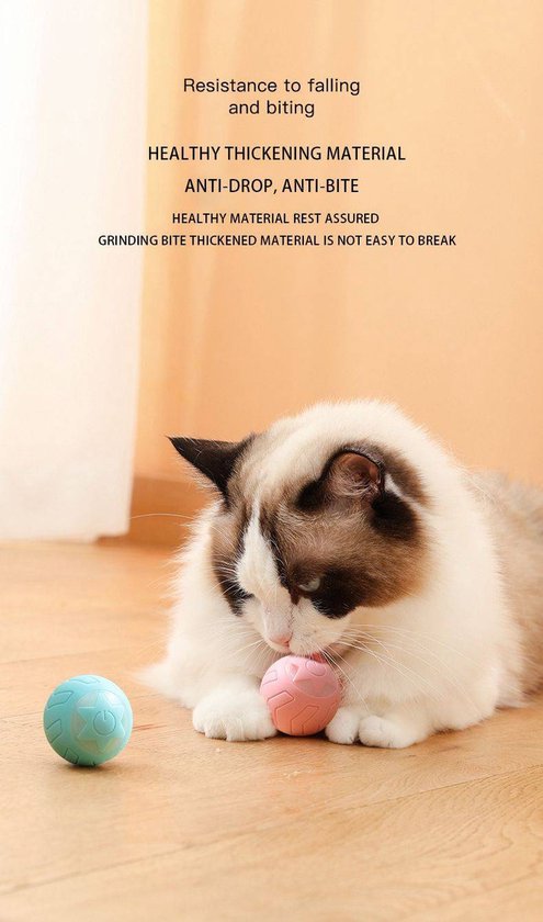 Balle de jeu auto-roulante pour chat ou chien - Interactif - USB - Bleu