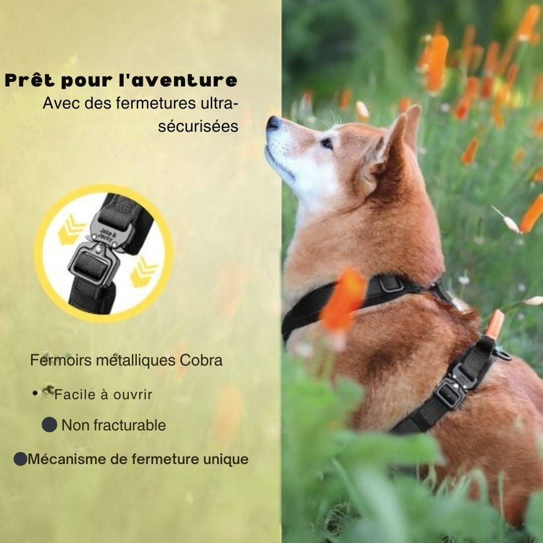 Harnais Jake et Jacky pour grands chiens - anti-traction - Taille L - Noir