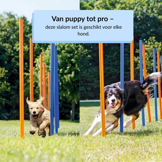 Set de slalom pour chien 12 pièces - Agility - hauteur 98 cm - set d'agility - set d'agility pour chien - slalom - set d'agility pour chien - set d'agility