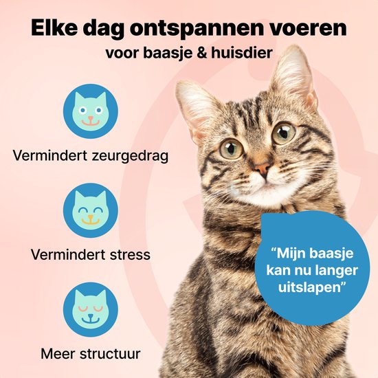 Jake and Jacky Automatic Feeder Cat and Dog - 5 Litres - Incl. Stainless Steel Feeder & Slowfeeder - Feeding Dispenser & Anti-Snatching Bowl - Feeder for Cats & Dogs - Black