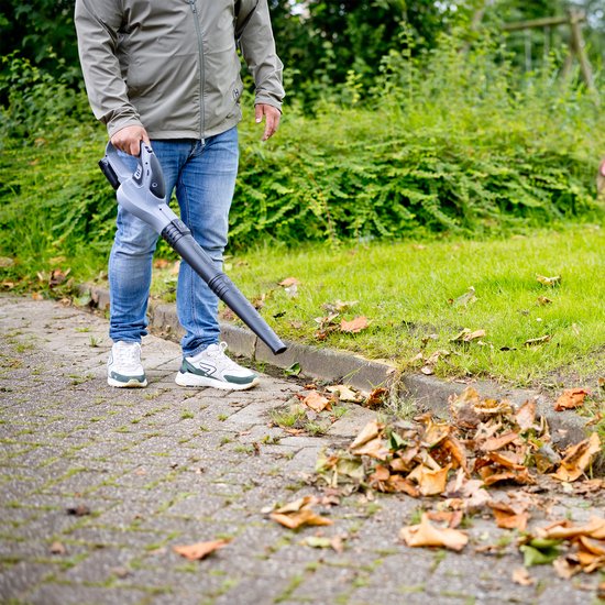 QLT Battery Leaf Blower with Charger - Outil de jardinage léger et puissant pour les feuilles, la poussière et l'herbe coupée - 12V