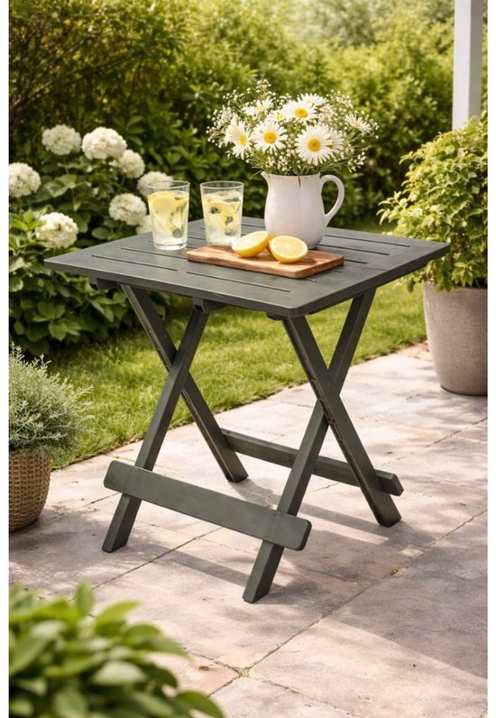 Pro GardenTable de camping 50x43x43 Vert sauge/plastique