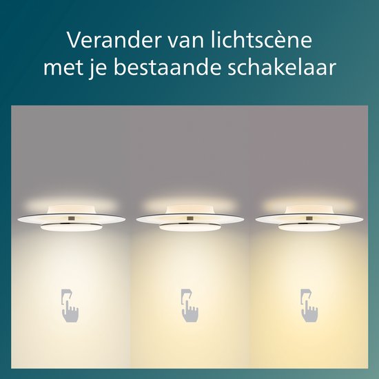 Plafonnier Philips Garnet - Noir - 27K - 40W