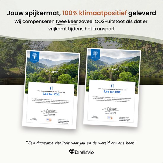 Tapis d'acupression avec coussin - BrellaVio - Gris - 74x44 cm - Tapis d'acupression - Lit d'ongles - Coussin d'acupuncture - Massage Shakti