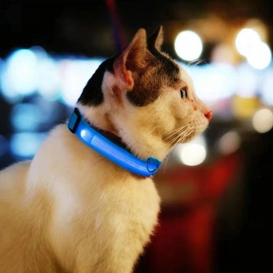 Collier lumineux LED Taille XL 42 - 56 cm USB Rechargeable Collier Chien Laisse Chiot - Bleu Chien Chat Chat - Dutchwide