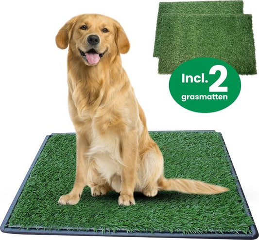 Gtrise Toilette pour chien avec 2 tapis - extérieur/intérieur - toilet training Ebook - Animal Toilet