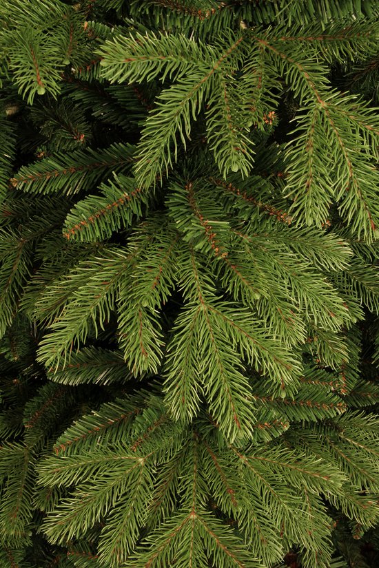 Black Box Trees Brampton Artificial Christmas Tree - H185 x Ø127 cm - Vert