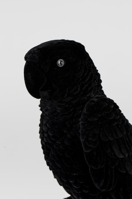 Bold Monkey Parrot Lamp - LED - Velours & PVC - 17 x 19 x 33cm - Noir