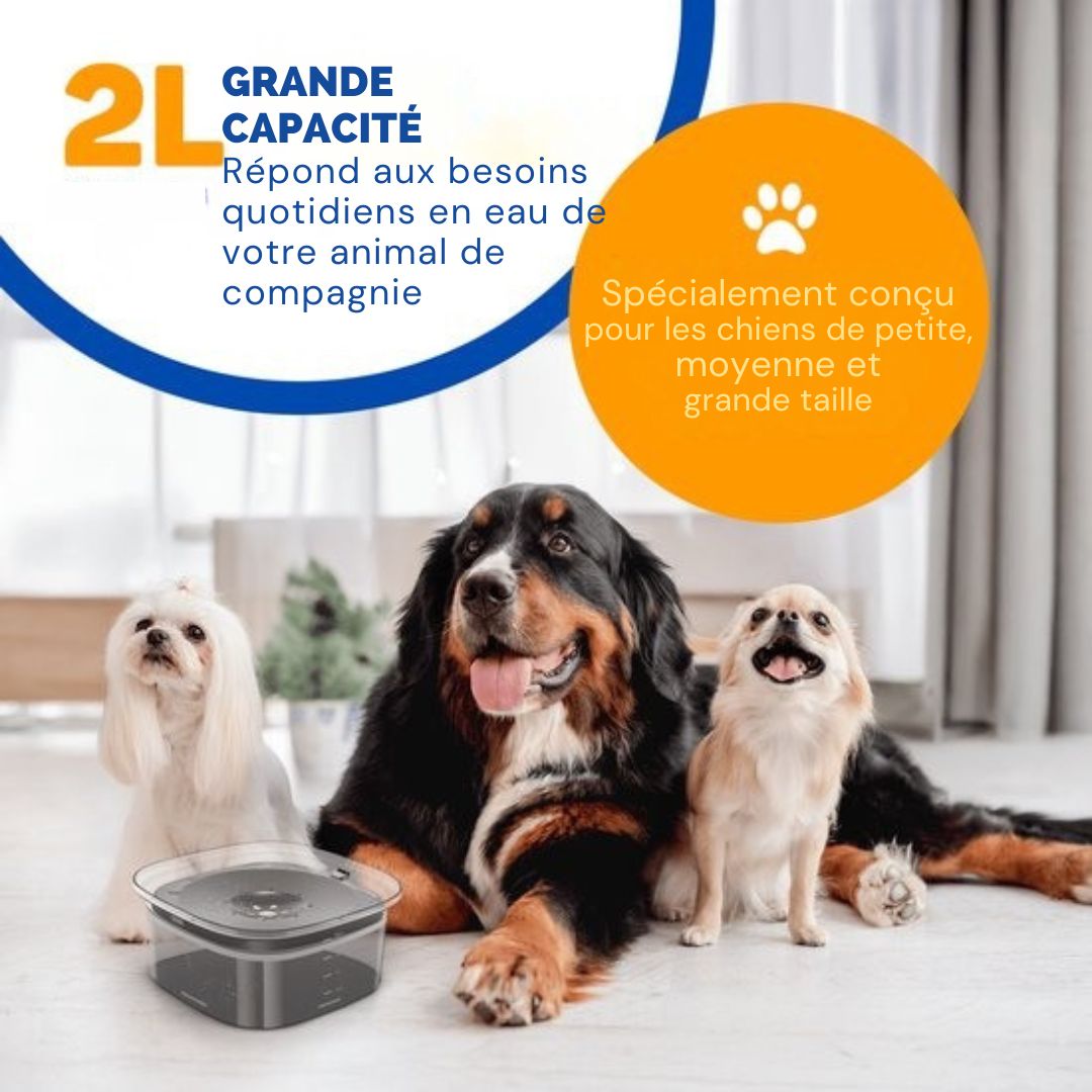 Bol à eau pour chiens Vulpes Goods® - Anti-renversement - Réduit la bave - En déplacement - 2L - Transparent Noir