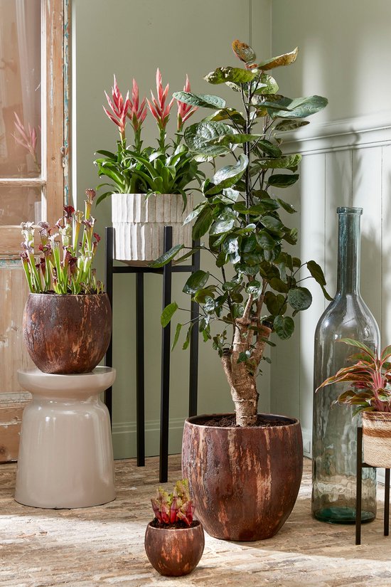 Mica Decorations Ascot Plant Stand XL - L38 x L38 x H71 cm - Métal - Noir