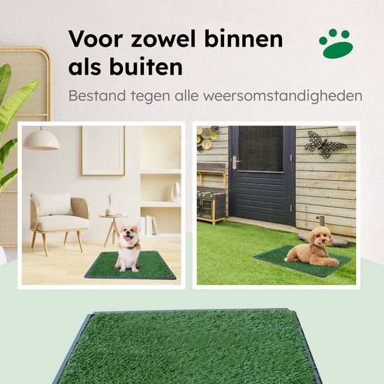 Gtrise Toilette pour chien avec 2 tapis - extérieur/intérieur - toilet training Ebook - Animal Toilet