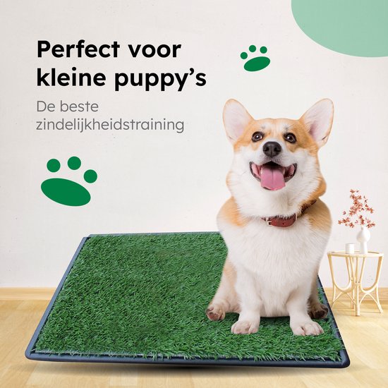 Gtrise Toilette pour chien avec 2 tapis - extérieur/intérieur - toilet training Ebook - Animal Toilet