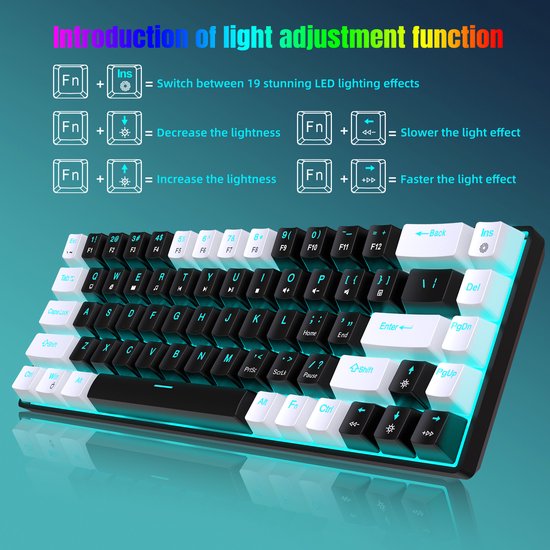HXSJ V800 - Clavier de jeu filaire - RGB - Mécanique - Claviers QWERTY - 68 touches - Interrupteur bleu - Noir Blanc