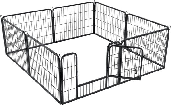 Course de chiots