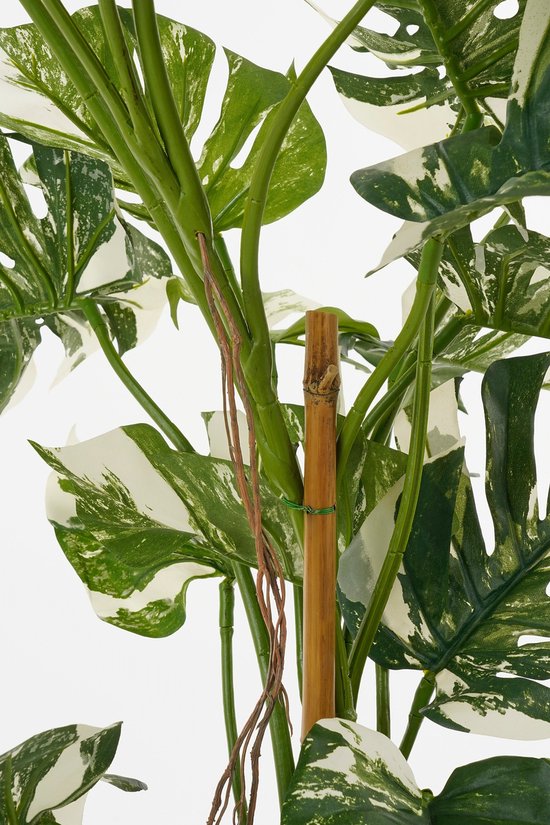 Mica Decorations Arbre Monstera Plante Artificielle - H140 x Ø120 cm - Vert