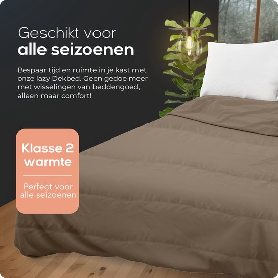 Sleeptime 2 in 1 Duvet - Couette sans housse avec taies d'oreiller - 200x200 - Taupe