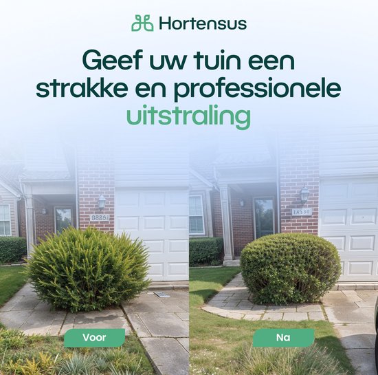 Hortensus - Mini tronçonneuse pour tous vos travaux - Mini tronçonneuse Hortensus