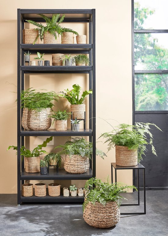Mica Decorations Ascot Plant Stand XL - L38 x L38 x H40cm - Métal - Noir