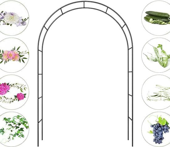Ceruzo Arche de rosier 140 x 240 cm - Aide à l'escalade en métal pour rosiers et plantes grimpantes - Cadre peint par poudrage