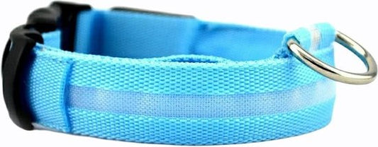 Collier lumineux LED Taille XL 42 - 56 cm USB Rechargeable Collier Chien Laisse Chiot - Bleu Chien Chat Chat - Dutchwide