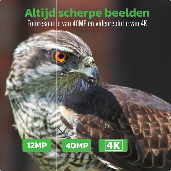 EarthVision Wildlife Camera Falcon - Vision nocturne - Caméra professionnelle 4K pour animaux sauvages - Caméra infrarouge - Caméra d'extérieur - Carte SD 32gb incluse - Étanche