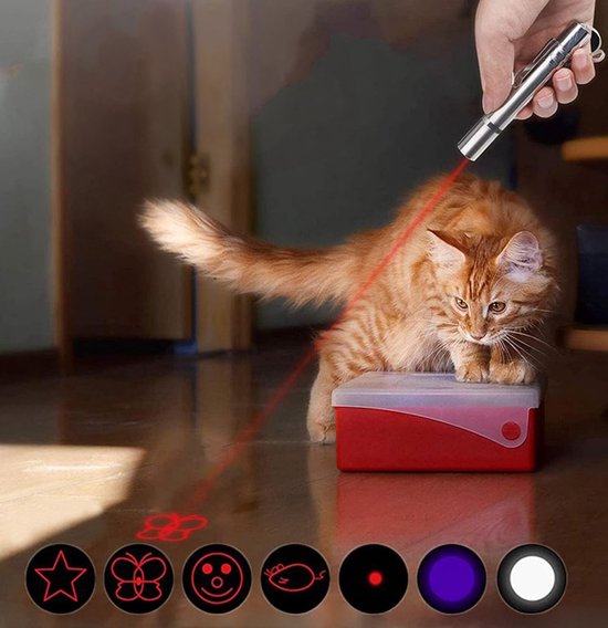 Tech Essentials 7-In1 Laser Pen - Rouge - Rechargeable - Motifs - Lumière UV - Lumière de soudage - Laser Chat - Chien - Jouet pour chat - Jouet pour chien - Chiot - Chat - 2-Pack