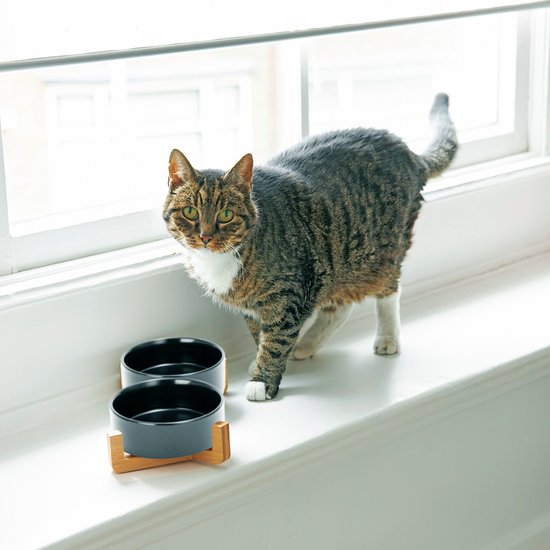 Gamelle chien - Gamelle chat - Abreuvoir - Avec support - 2x 400 ml - Taille S - Noir