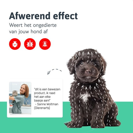 Dutchwide Collier anti-tiques et anti-puces pour chat et chien - Respectueux des animaux - Convient aux chats, chiens et chatons - Taille unique