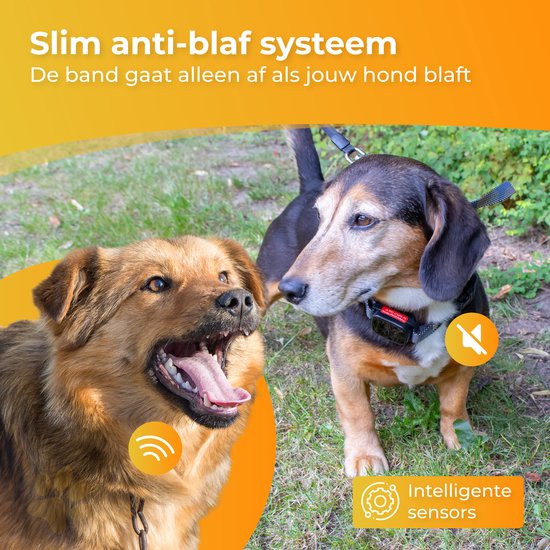 Nuvance Collier anti-aboiement digital - Dispositif anti-aboiement sans choc - Rechargeable - Collier anti-aboiement pour chiens et chiots - 6 étapes