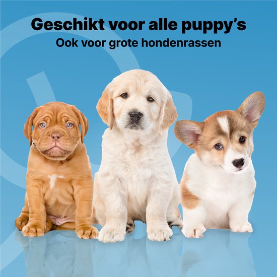 Jake and Jacky Puppy Training Pads - apprentissage de la propreté - toilettes pour chiens - XL - 60 x 90 cm - 120 pièces