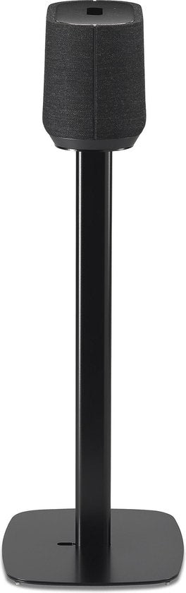 Citation 300 standard noir
