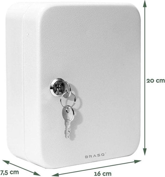 BRASQ Armoire à clés - 16x20x7,5 cm - Coffre à clés - Boîte à clés - Avec serrure cylindrique - 20 crochets pour clés - KC100 - Gris