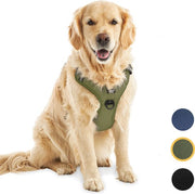 Harnais pour chien Jake et Jacky - Harnais anti-traction - Réfléchissant - Taille XL - Vert