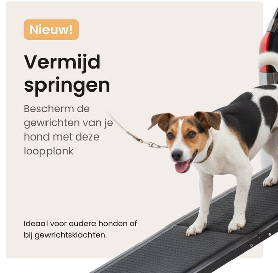 Planche de marche pour chien pour voiture - Marchepied pliable pour chien - Avec antidérapant - 160 cm