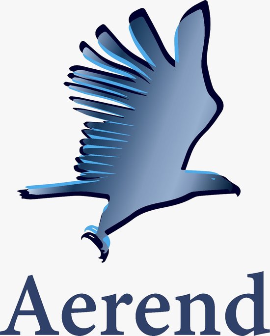 Aerend - 12 lampes à thé LED