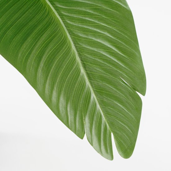 Bananier Artificiel en Pot - Mica Decorations - H180 x Ø30 cm - Vert