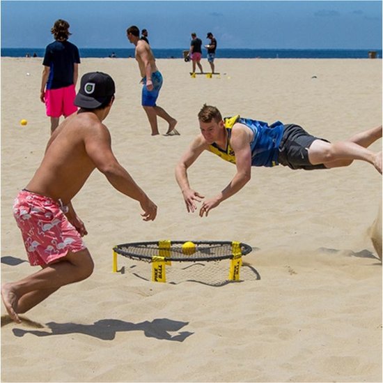 Spikeball Set standard