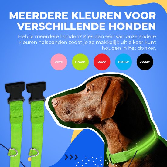 Dutchwide Collier lumineux pour chien - Extra fort - L 41 cm à 52 cm - Collier pour chien - Collier à mousqueton - Ajustable - Réfléchissant
