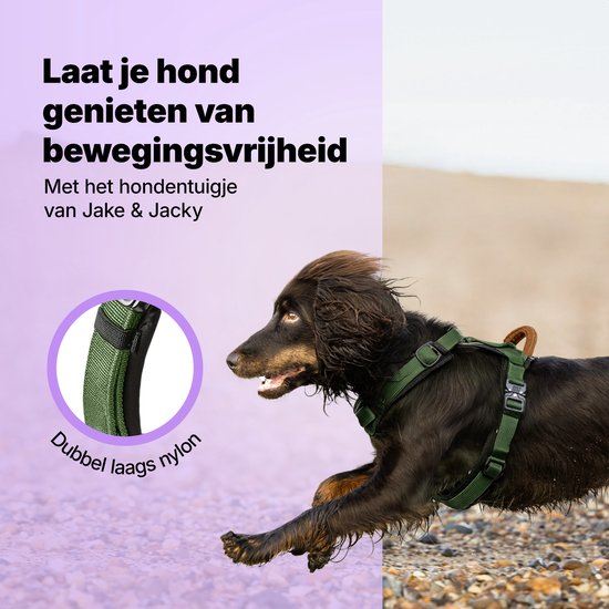 Harnais Jake et Jacky pour petit chien - Harnais anti-traction - Harnais pour chat - Harnais Y pour chien - Harnais pour petit chien - Harnais pour chat - Vert - Taille XS