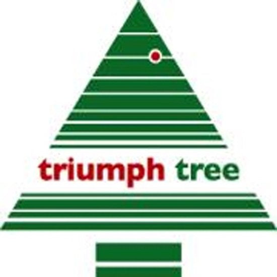 Triumph Tree Bristlecone Artificial Christmas Tree - H185 x Ø119 cm - Vert