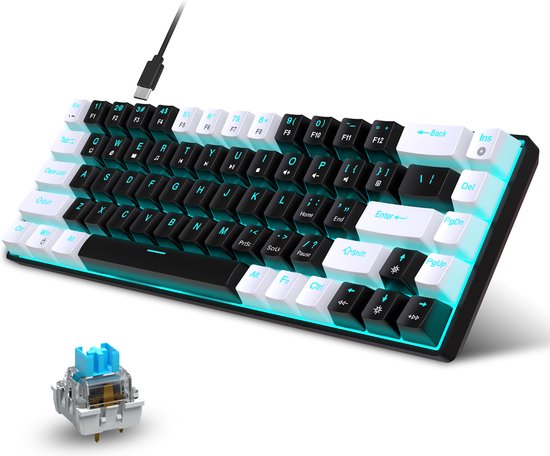 HXSJ V800 - Clavier de jeu filaire - RGB - Mécanique - Claviers QWERTY - 68 touches - Interrupteur bleu - Noir Blanc