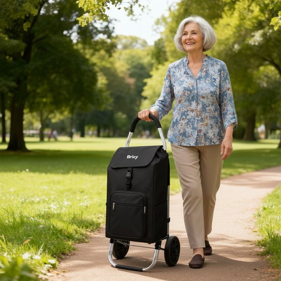 Brixy Chariot de courses - Pliable - Avec roues - Sac de courses amovible - Chariot de courses - Noir