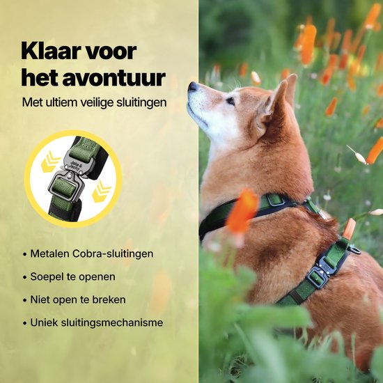 Harnais Jake and Jacky Dog Medium - Harnais Anti-Traction - Harnais Y pour chien - Harnais pour chien - Vert - Taille M