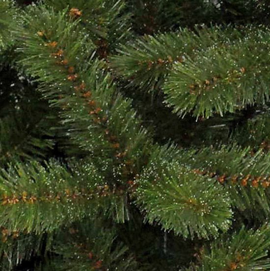 Triumph Tree Bristlecone Artificial Christmas Tree - H185 x Ø119 cm - Vert